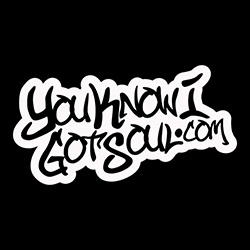 https://mail.theblackpeoplesguide.com/public/channels/you-know-i-got-soul